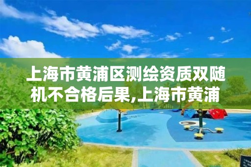 上海市黃浦區測繪資質雙隨機不合格后果,上海市黃浦區測繪中心