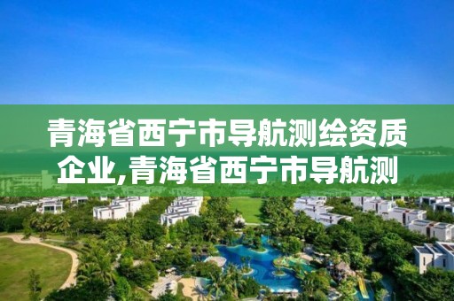 青海省西寧市導航測繪資質企業,青海省西寧市導航測繪資質企業名錄