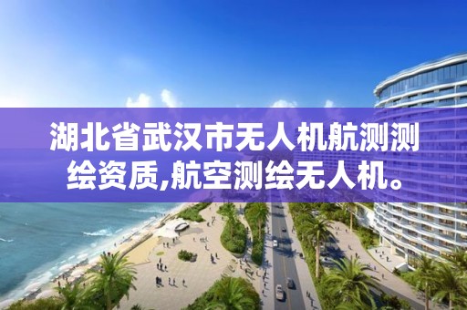 湖北省武漢市無人機航測測繪資質,航空測繪無人機。