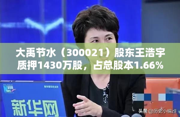 大禹節水（300021）股東王浩宇質押1430萬股，占總股本1.66%