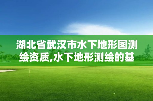 湖北省武漢市水下地形圖測(cè)繪資質(zhì),水下地形測(cè)繪的基本內(nèi)容。