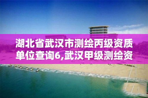 湖北省武漢市測繪丙級資質單位查詢6,武漢甲級測繪資質名錄