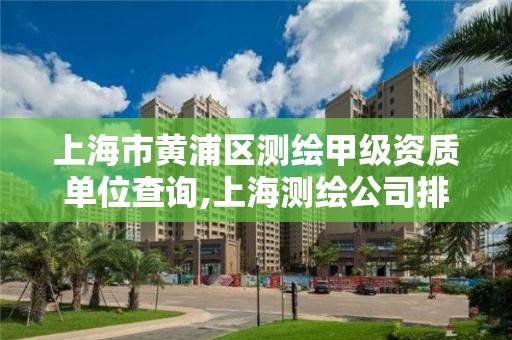 上海市黃浦區測繪甲級資質單位查詢,上海測繪公司排名名單