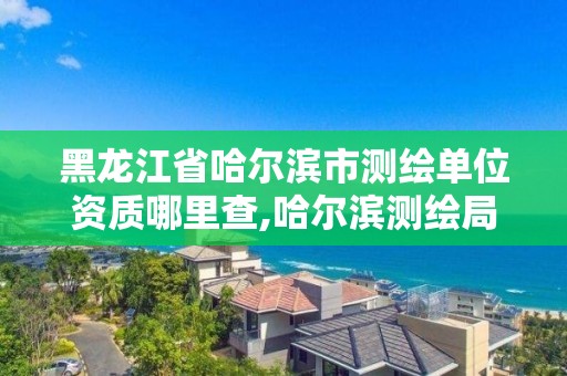 黑龍江省哈爾濱市測繪單位資質哪里查,哈爾濱測繪局在哪