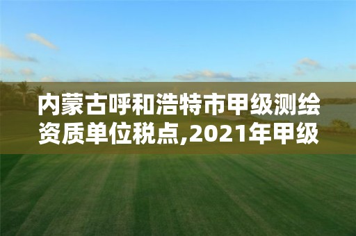 內(nèi)蒙古呼和浩特市甲級測繪資質(zhì)單位稅點(diǎn),2021年甲級測繪資質(zhì)。