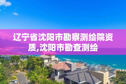 遼寧省沈陽市勘察測繪院資質,沈陽市勘查測繪