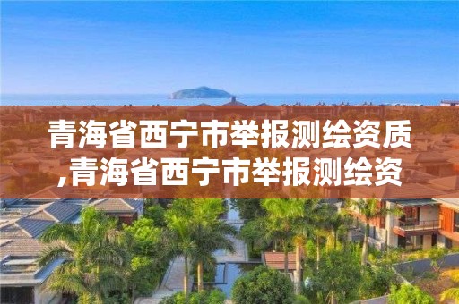 青海省西寧市舉報測繪資質,青海省西寧市舉報測繪資質電話