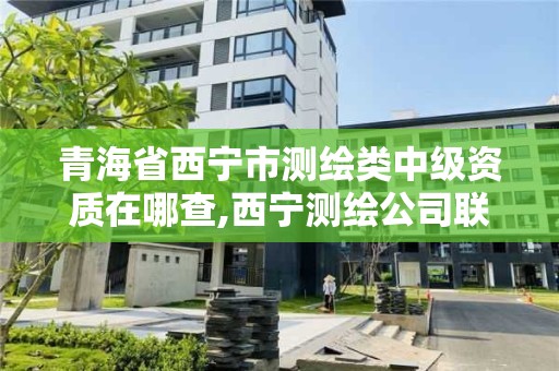 青海省西寧市測繪類中級資質在哪查,西寧測繪公司聯系方式