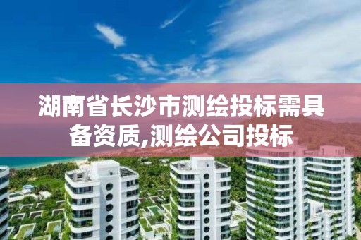 湖南省長沙市測繪投標需具備資質,測繪公司投標