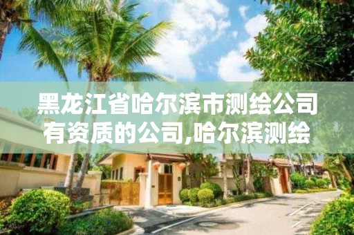 黑龍江省哈爾濱市測繪公司有資質的公司,哈爾濱測繪內業招聘信息。