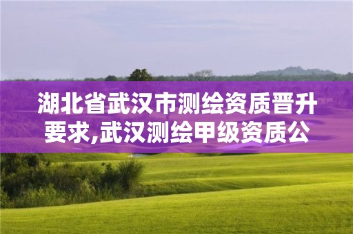 湖北省武漢市測繪資質晉升要求,武漢測繪甲級資質公司