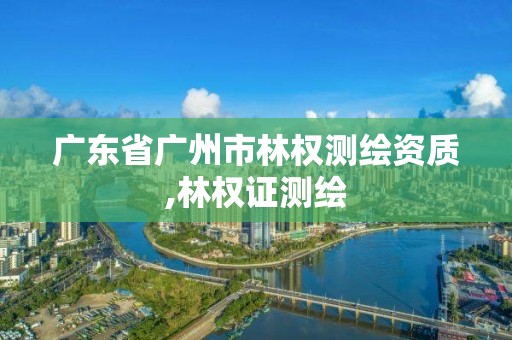 廣東省廣州市林權測繪資質,林權證測繪