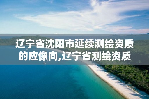 遼寧省沈陽市延續測繪資質的應像向,遼寧省測繪資質延期