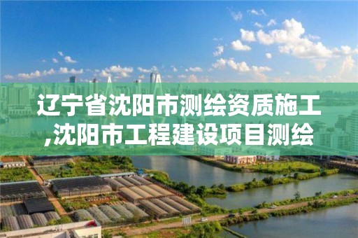 遼寧省沈陽市測繪資質施工,沈陽市工程建設項目測繪技術規程