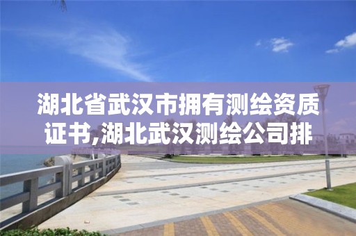 湖北省武漢市擁有測繪資質證書,湖北武漢測繪公司排行榜