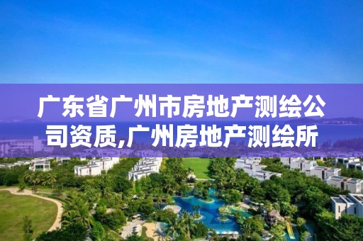 廣東省廣州市房地產(chǎn)測繪公司資質(zhì),廣州房地產(chǎn)測繪所。