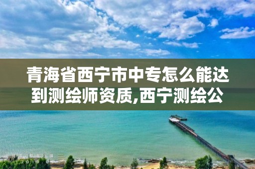 青海省西寧市中專怎么能達到測繪師資質,西寧測繪公司有哪些。