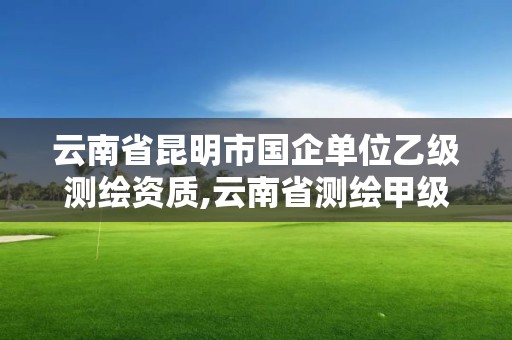 云南省昆明市國企單位乙級測繪資質,云南省測繪甲級單位