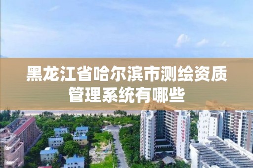 黑龍江省哈爾濱市測繪資質管理系統有哪些