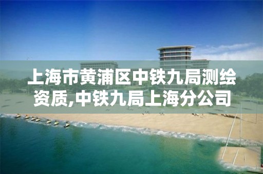 上海市黃浦區中鐵九局測繪資質,中鐵九局上海分公司