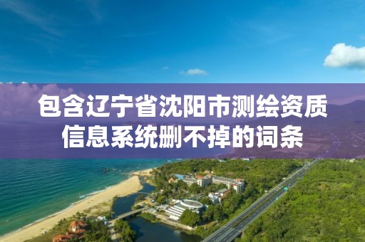 包含遼寧省沈陽市測繪資質(zhì)信息系統(tǒng)刪不掉的詞條