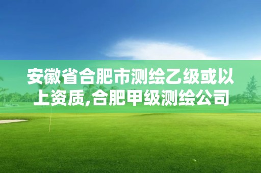 安徽省合肥市測(cè)繪乙級(jí)或以上資質(zhì),合肥甲級(jí)測(cè)繪公司排行