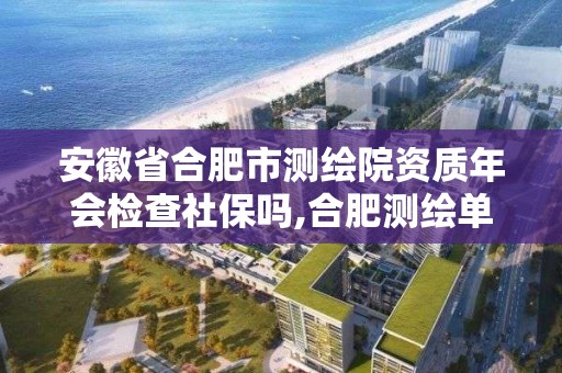 安徽省合肥市測繪院資質年會檢查社保嗎,合肥測繪單位