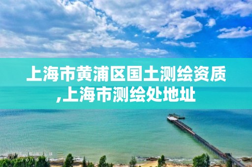 上海市黃浦區(qū)國土測繪資質(zhì),上海市測繪處地址