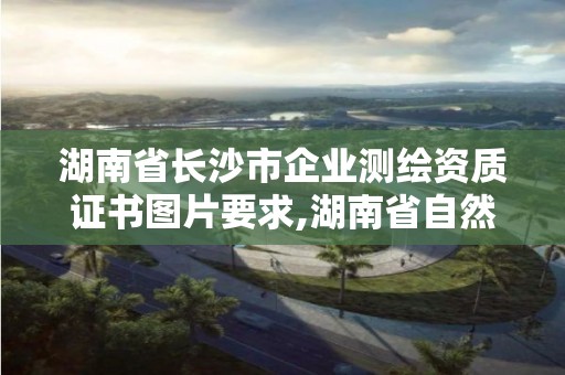 湖南省長沙市企業測繪資質證書圖片要求,湖南省自然資源廳關于延長測繪資質證書有效期的公告。