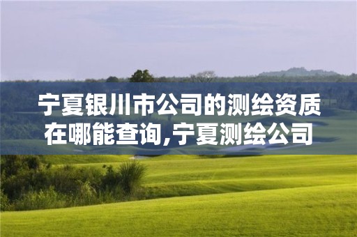 寧夏銀川市公司的測繪資質在哪能查詢,寧夏測繪公司有哪幾家。