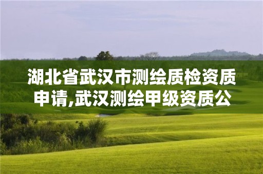 湖北省武漢市測繪質檢資質申請,武漢測繪甲級資質公司