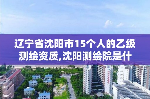 遼寧省沈陽市15個人的乙級測繪資質,沈陽測繪院是什么單位。