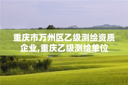 重慶市萬州區(qū)乙級測繪資質(zhì)企業(yè),重慶乙級測繪單位