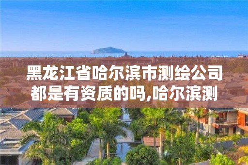 黑龍江省哈爾濱市測繪公司都是有資質(zhì)的嗎,哈爾濱測繪勘察研究院怎么樣。