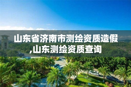 山東省濟南市測繪資質造假,山東測繪資質查詢