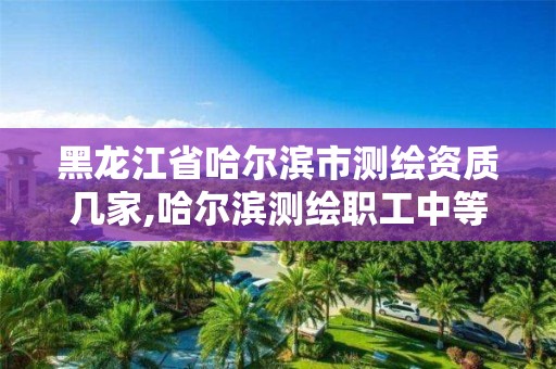 黑龍江省哈爾濱市測繪資質幾家,哈爾濱測繪職工中等專業學校