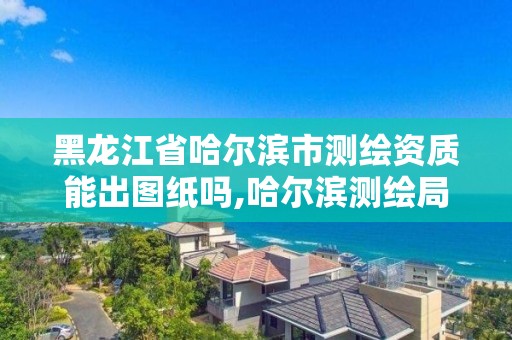 黑龍江省哈爾濱市測繪資質能出圖紙嗎,哈爾濱測繪局怎么樣。