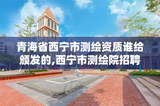 青海省西寧市測繪資質誰給頒發的,西寧市測繪院招聘公示。