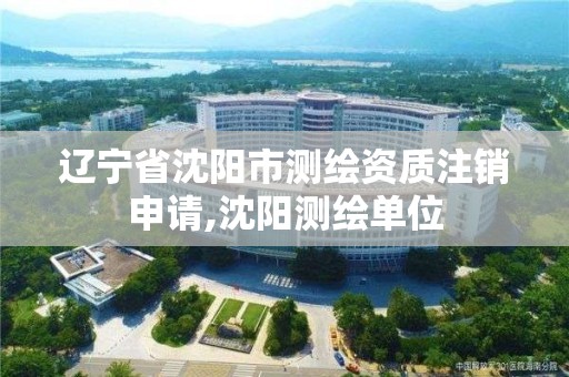 遼寧省沈陽市測繪資質注銷申請,沈陽測繪單位