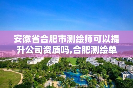 安徽省合肥市測繪師可以提升公司資質嗎,合肥測繪單位