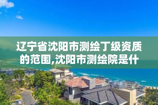 遼寧省沈陽市測繪丁級資質的范圍,沈陽市測繪院是什么單位