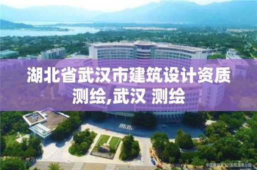 湖北省武漢市建筑設計資質測繪,武漢 測繪