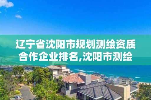 遼寧省沈陽市規劃測繪資質合作企業排名,沈陽市測繪院是什么單位。