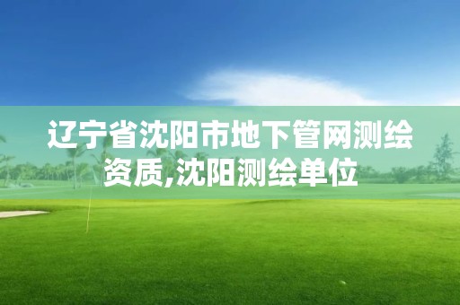 遼寧省沈陽市地下管網測繪資質,沈陽測繪單位