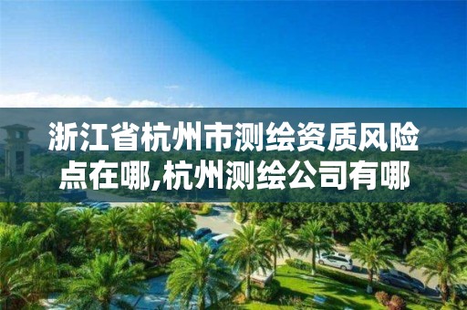 浙江省杭州市測繪資質風險點在哪,杭州測繪公司有哪幾家