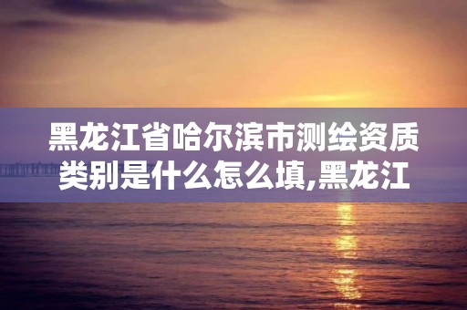 黑龍江省哈爾濱市測繪資質類別是什么怎么填,黑龍江省測繪資質延期通知。