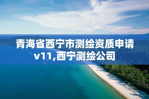 青海省西寧市測繪資質(zhì)申請v11,西寧測繪公司