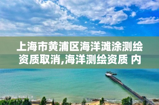 上海市黃浦區海洋灘涂測繪資質取消,海洋測繪資質 內容