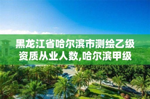 黑龍江省哈爾濱市測繪乙級資質從業人數,哈爾濱甲級測繪公司