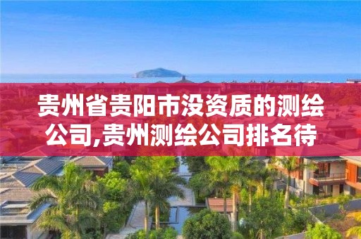 貴州省貴陽市沒資質的測繪公司,貴州測繪公司排名待遇